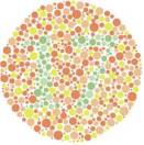 色盲测试图第 1 题